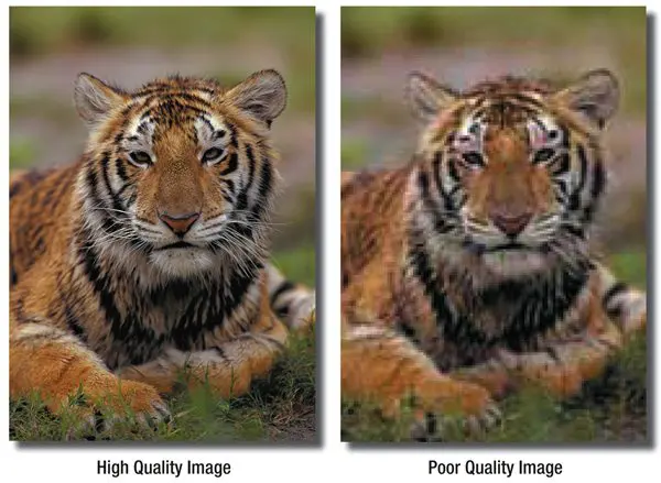 Quality difference example between a high resolution and low resolution image