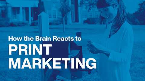 How the Brain Reacts to Print Marketing