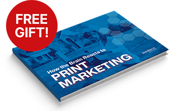 FREE eBook - How the Brain Reacts to Print Marketing