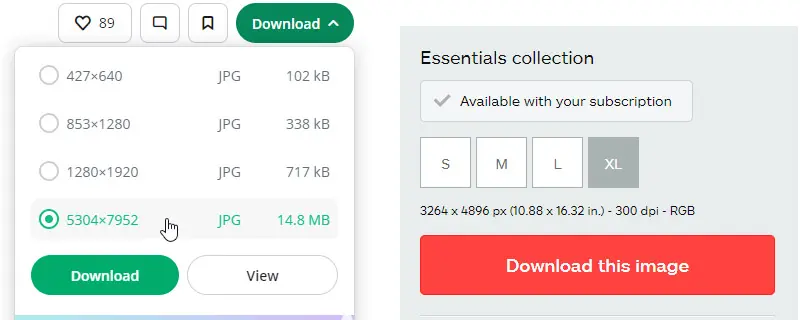 Side by side of two stock photo sites options of selecting the largest file size available