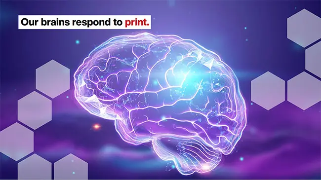Brains respond to print